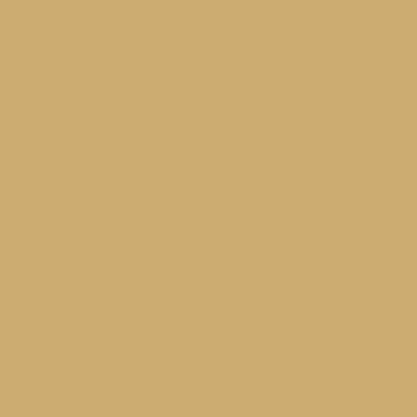 RAL 1002 RAL 1002
