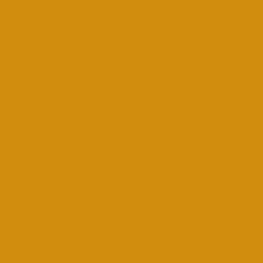 RAL 1006 RAL 1006