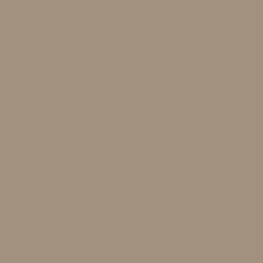 RAL 1019 RAL 1019