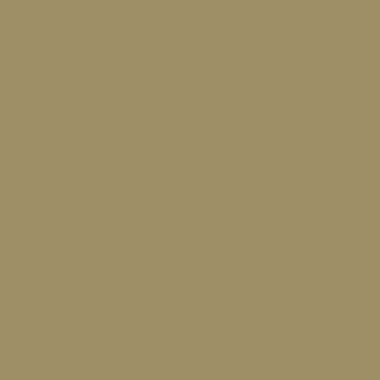 RAL 1020 RAL 1020