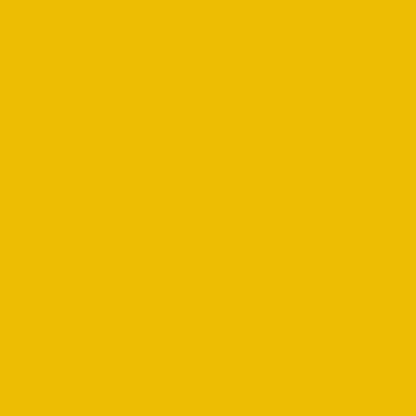 RAL 1021 RAL 1021