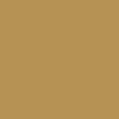 RAL 1024 RAL 1024