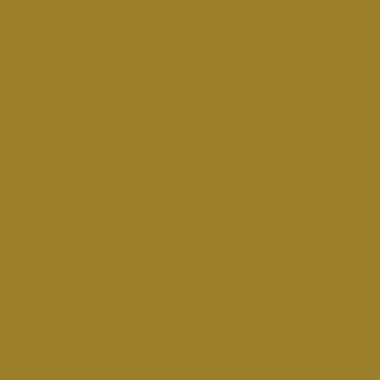 RAL 1027 RAL 1027