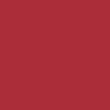 RAL 3020 RAL 3020