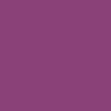 RAL 4006 RAL 4006