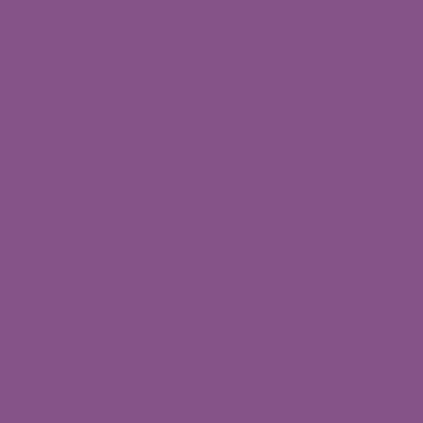 RAL 4008 RAL 4008