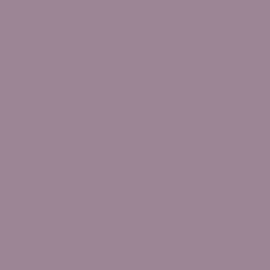 RAL 4009 RAL 4009