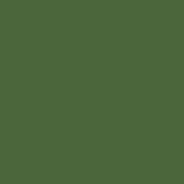 RAL 6002 RAL 6002