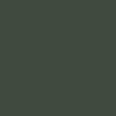 RAL 6009 RAL 6009