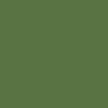 RAL 6010 RAL 6010