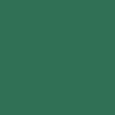 RAL 6016 RAL 6016