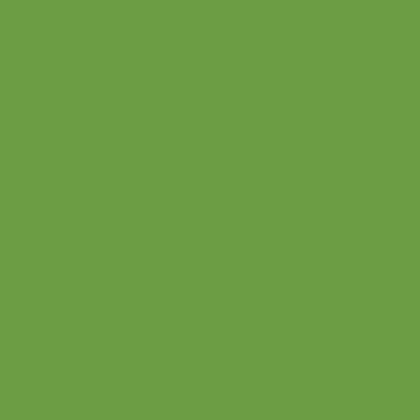 RAL 6018 RAL 6018