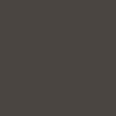 RAL 6022 RAL 6022