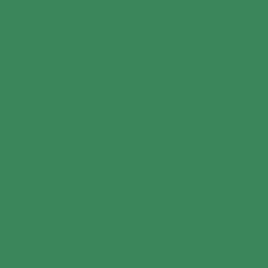 RAL 6024 RAL 6024