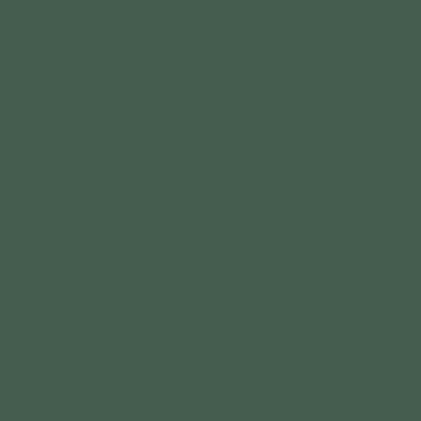 RAL 6028 RAL 6028
