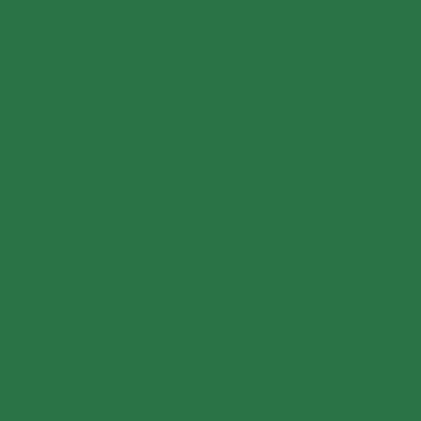RAL 6029 RAL 6029