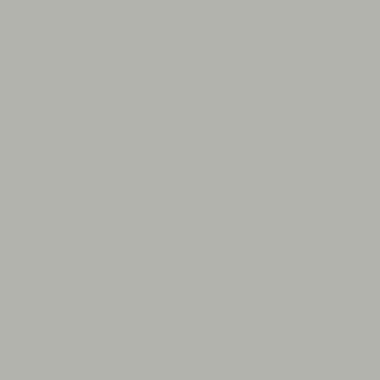RAL 7038 RAL 7038