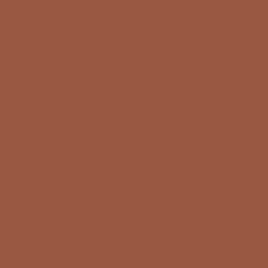 RAL 8023 RAL 8023