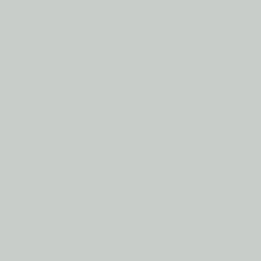 RAL 9018 RAL 9018
